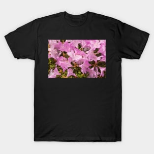 Pink Lilac Rhododendron Flowers T-Shirt